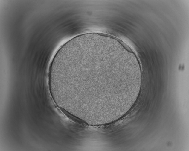 X0000097921104200804111133