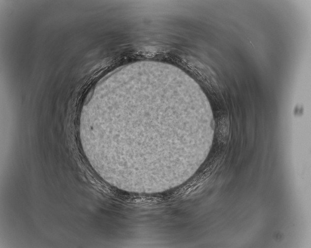 X0000097921105200804111132