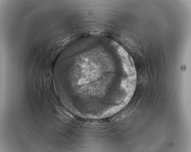 X0000097921106200804111132