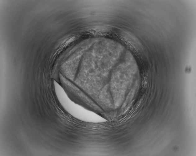 X0000097921108200804111132