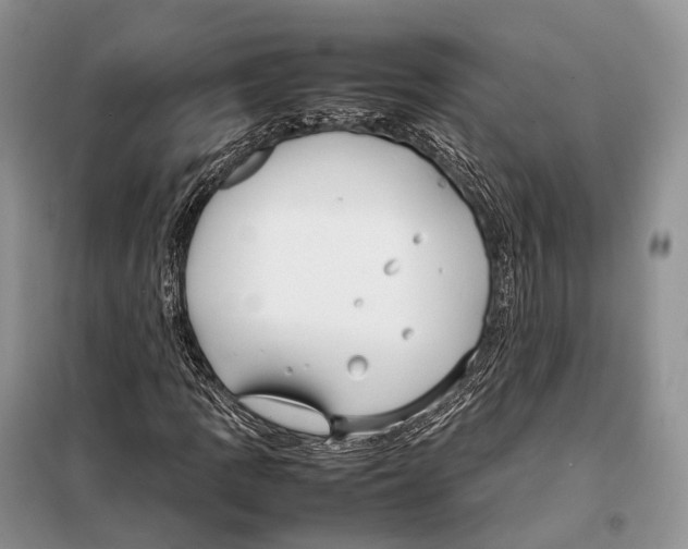 X0000097921109200804111132