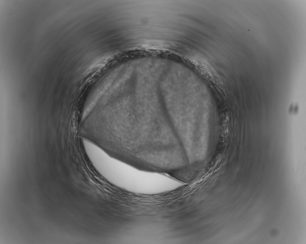 X0000097921110200804111132