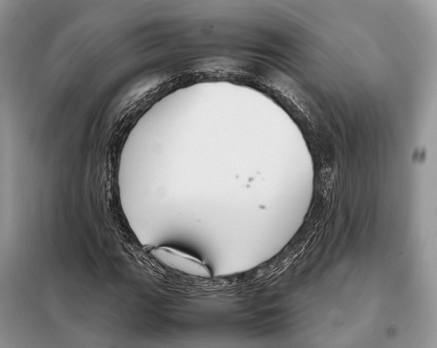 X0000097921111200804111132