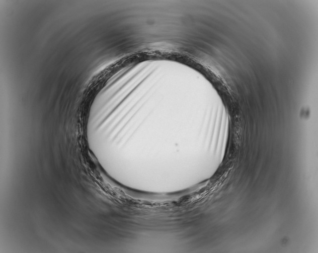 X0000097921112200804111132