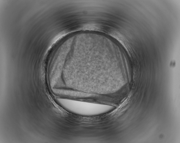 X0000097921115200804111132