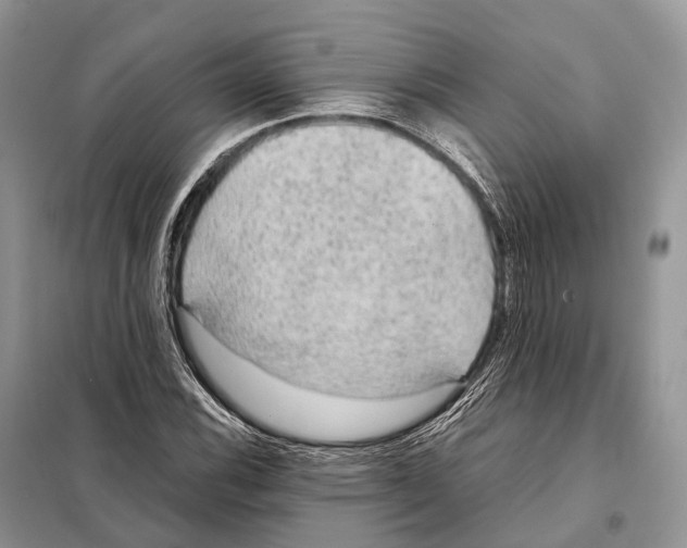 X0000097921116200804111132