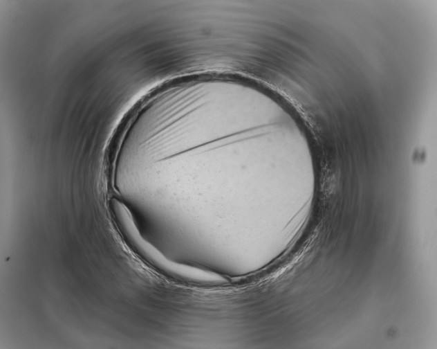 X0000097921118200804111132