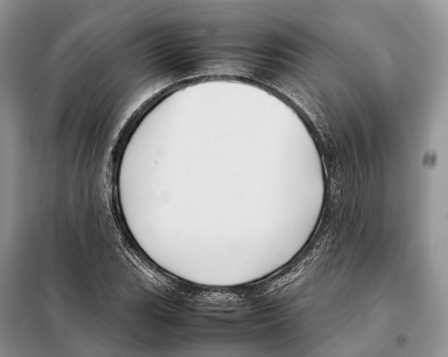 X0000097921119200804111132