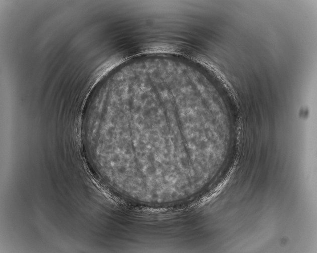 X0000097921121200804111132