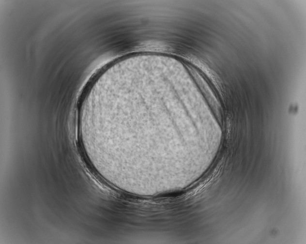 X0000097921123200804111132