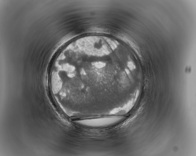 X0000097921125200804111132