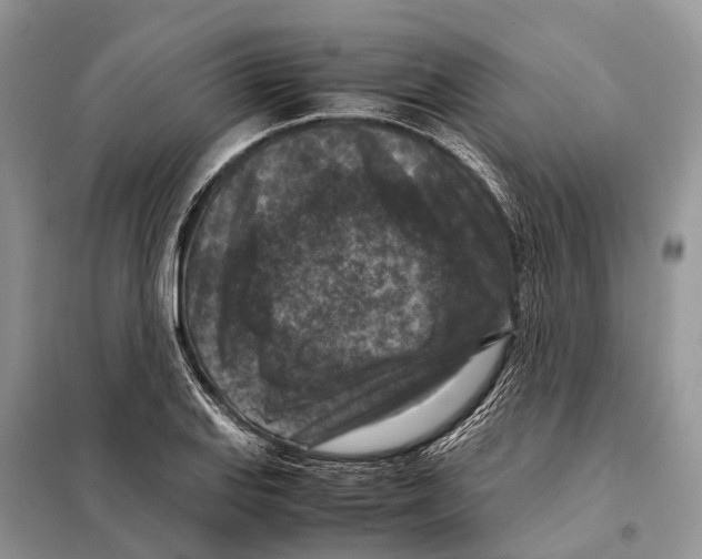 X0000097921127200804111132