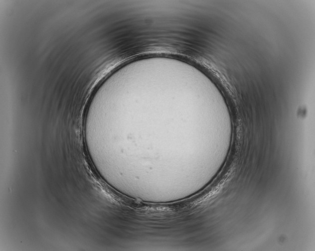 X0000097921129200804111132