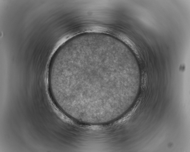 X0000097921130200804111132