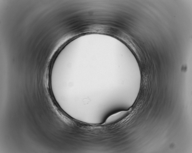 X0000097921131200804111132