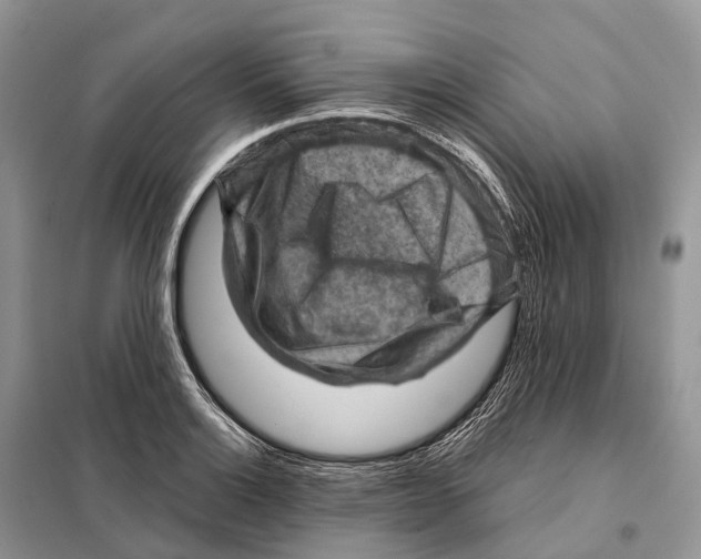 X0000097921132200804111132