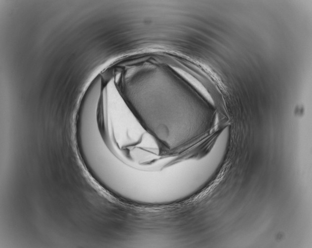 X0000097921134200804111133