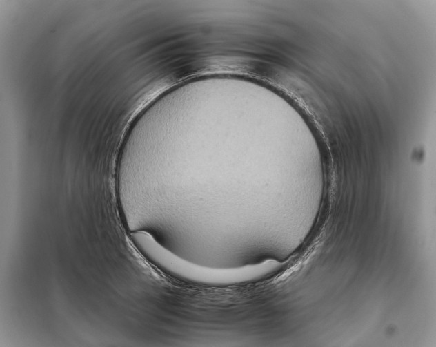 X0000097921137200804111133