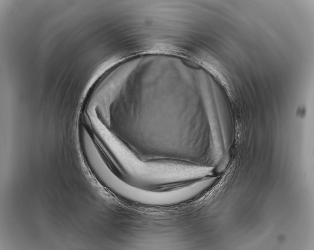 X0000097921138200804111133