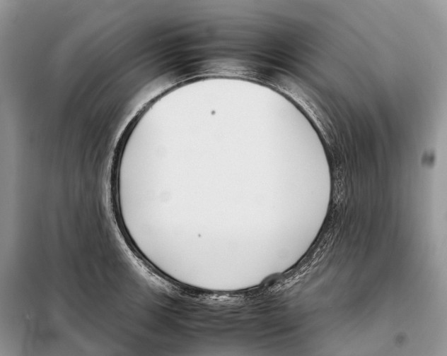 X0000097921139200804111133