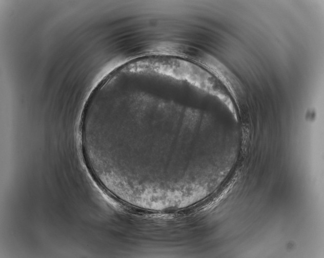 X0000097921141200804111133