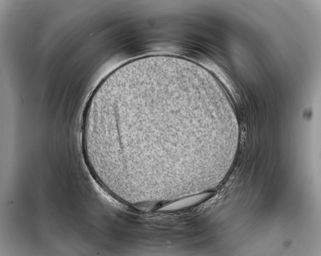 X0000097921143200804111133