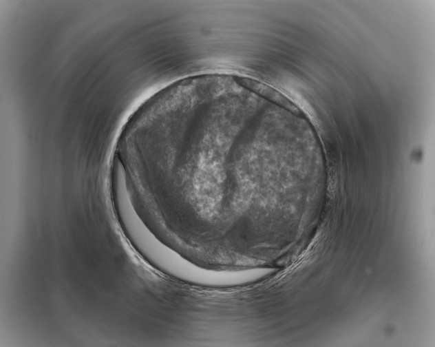 X0000097921144200804111133