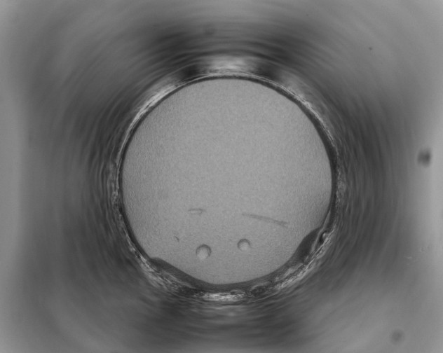 X0000097921145200804111133