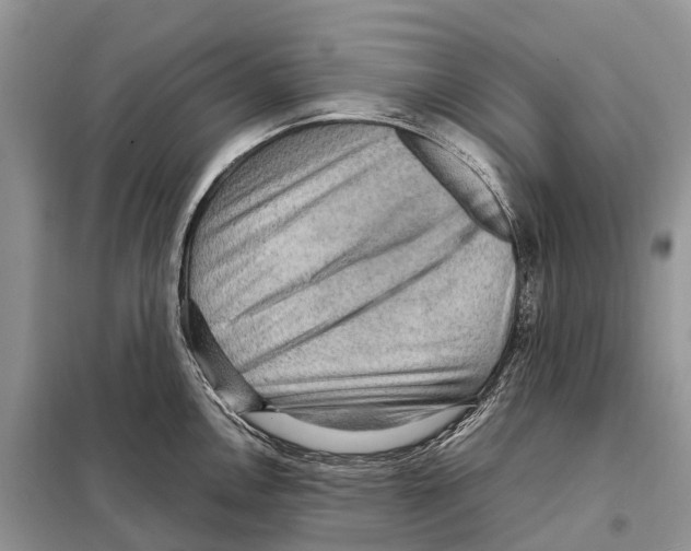 X0000097921146200804111133