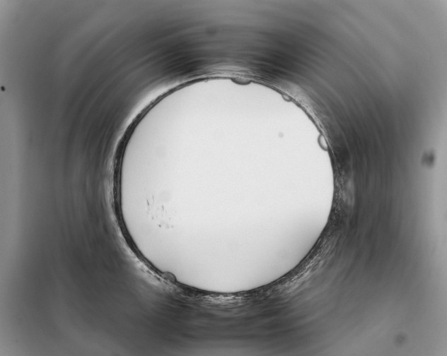 X0000097921147200804111133