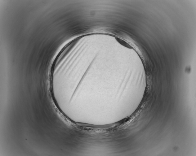 X0000097921148200804111133