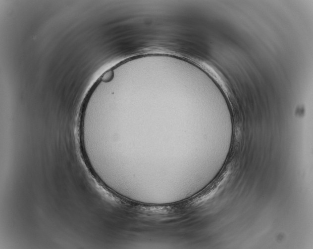 X0000097921149200804111133