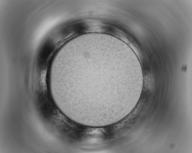 X0000097921150200804111133