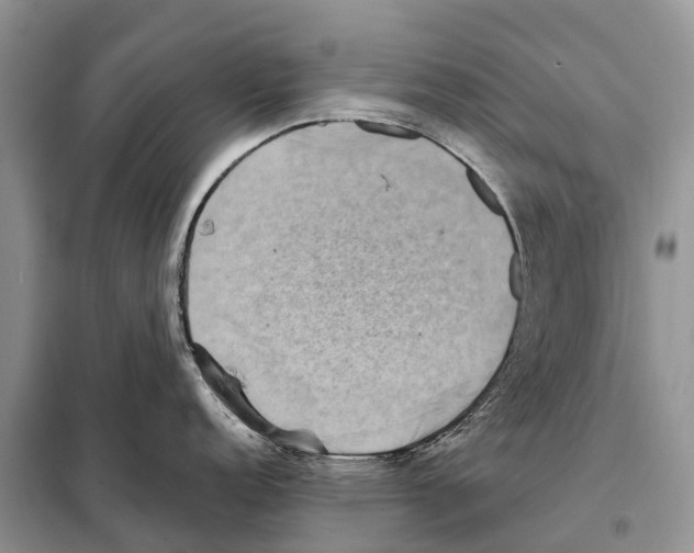 X0000097921152200804111133