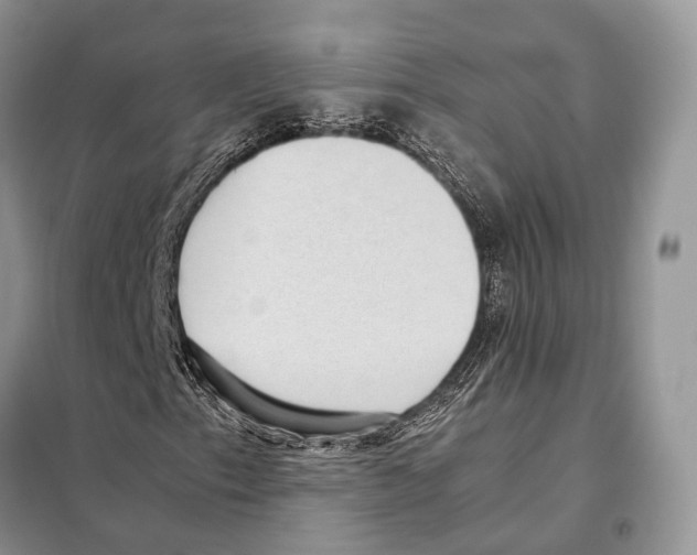 X0000097921153200804111132