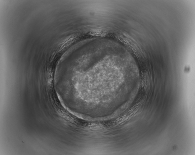 X0000097921154200804111132