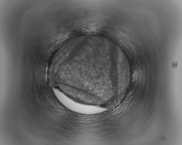 X0000097921156200804111132