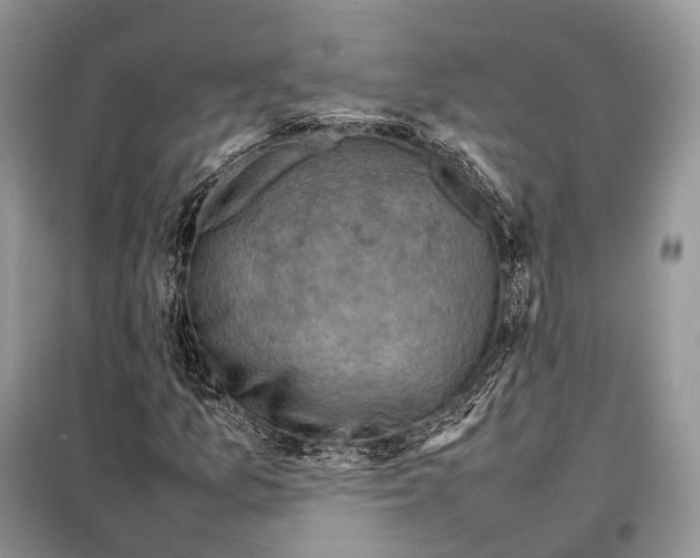 X0000097921157200804111132