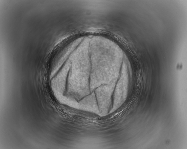 X0000097921158200804111132