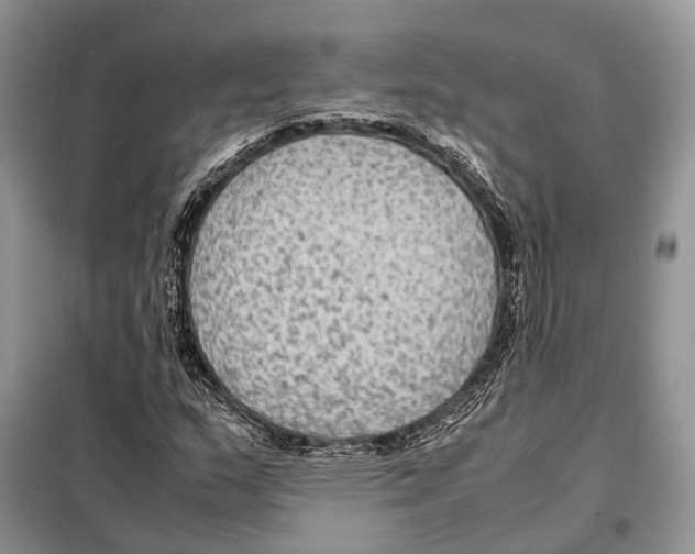 X0000097921159200804111132