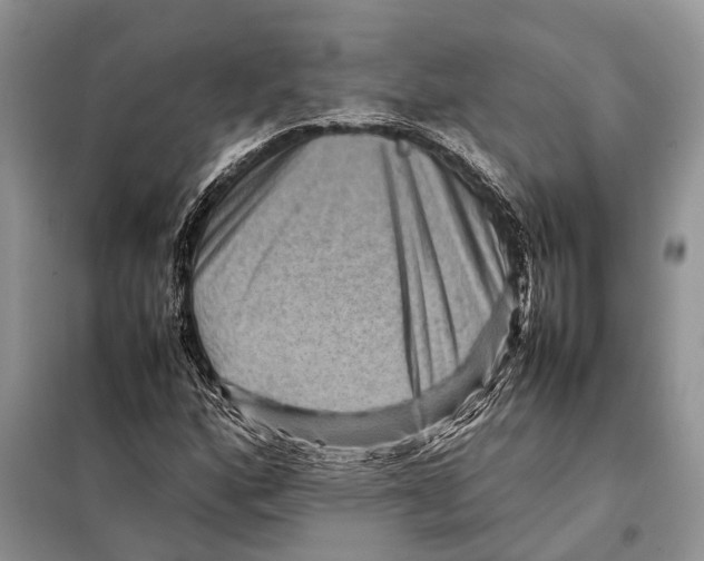 X0000097921160200804111132