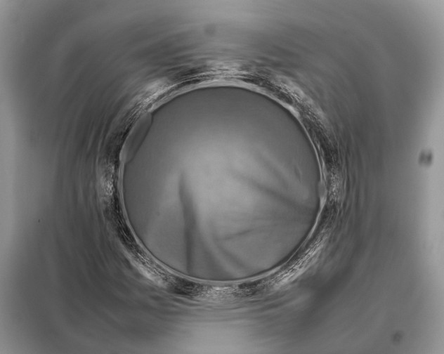 X0000097921161200804111132