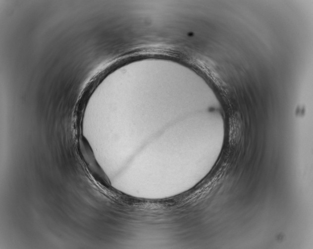 X0000097921164200804111132