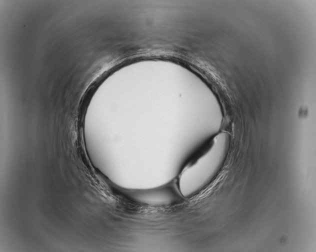 X0000097921165200804111132