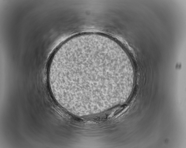 X0000097921167200804111132