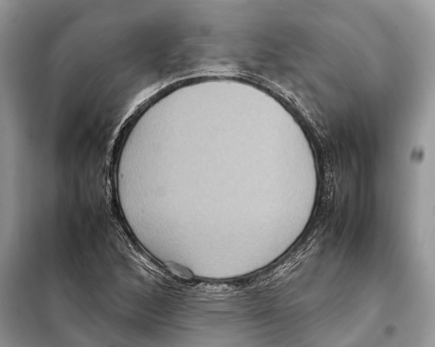 X0000097921168200804111132