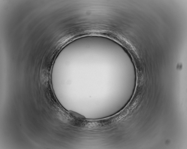 X0000097921169200804111132