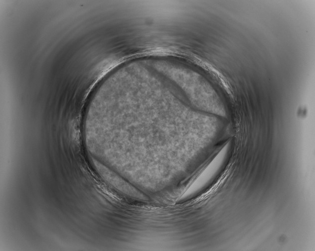 X0000097921170200804111132