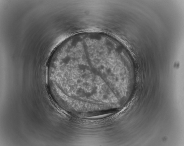 X0000097921171200804111132