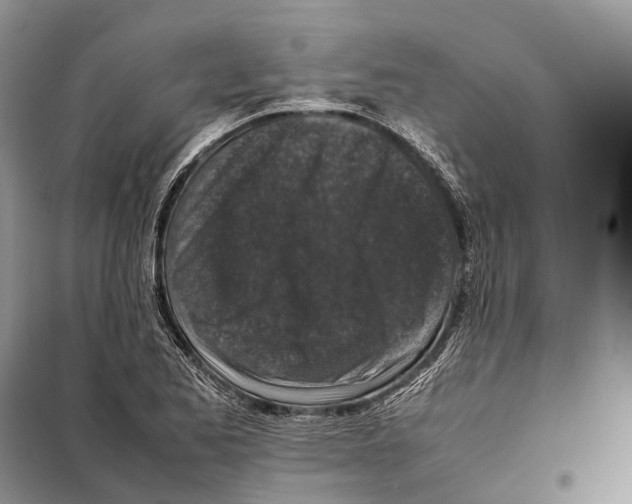 X0000097921173200804111131